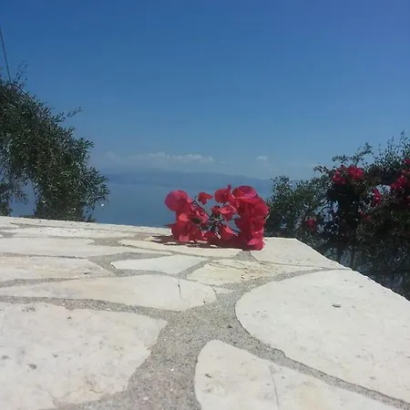 Casa Dei Venti - Sea View * Benitses (Corfu)